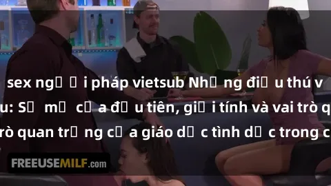 sex người pháp vietsub Những điều thú vị về sex ở Bắc Âu: Sự mở cửa đầu tiên, giới tính và vai trò quan trọng của giáo dục tình dục trong các quốc gia này.